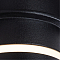 Светильник Arte Lamp A2164PL-1BK