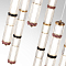 ODEON LIGHT 5455/210L
