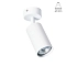 Светильник Arte Lamp A3216PL-1WH