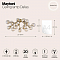 Светильник Maytoni MOD545PL-20G