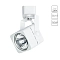 Светильник Arte Lamp A1314PL-1WH