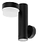 Уличный светильник Arte Lamp A2362AL-2BK