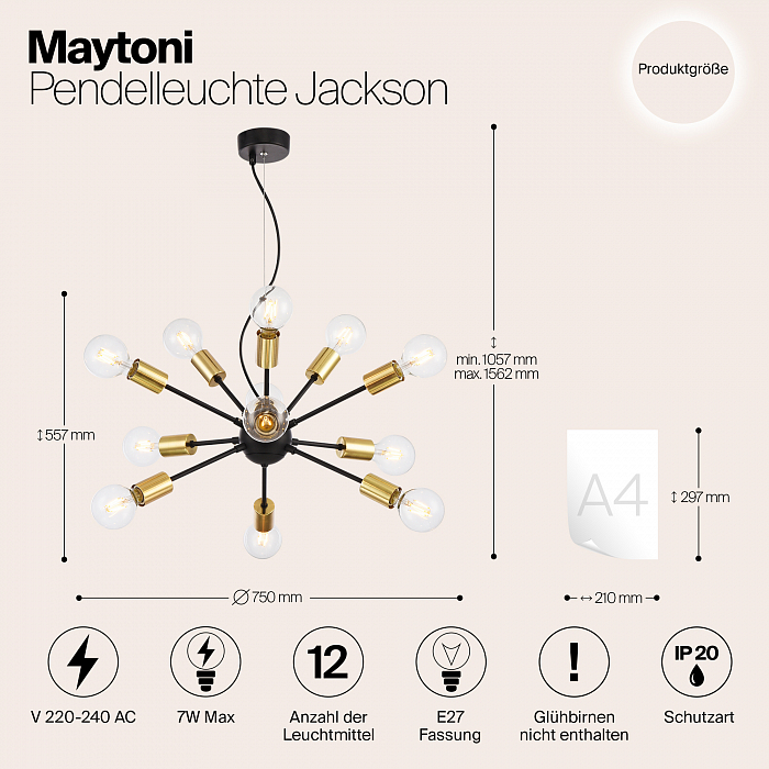 Светильник Maytoni T546PL-12B
