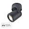 Светильник Arte Lamp A3316PL-1BK