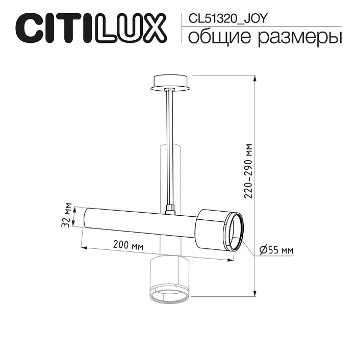 Спот CITILUX CL51320_JOY