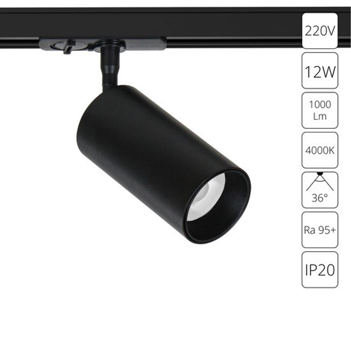 Arte Lamp A1346PL-1BK